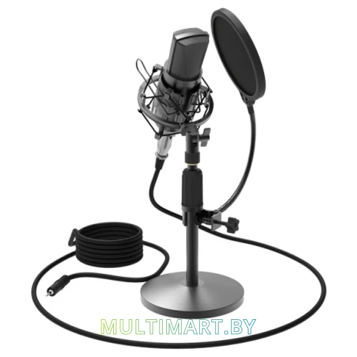 Микрофон Ritmix RDM-175